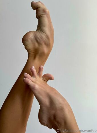 swanfee Голые слитые фото OnlyFans 15