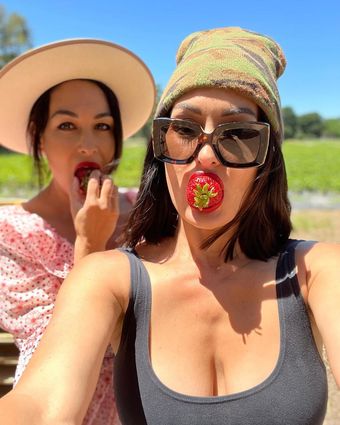 The Bella Twins
