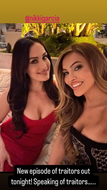 The Bella Twins
