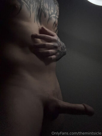 themintsicle Голые слитые фото OnlyFans 13