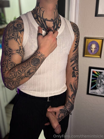 themintsicle Голые слитые фото OnlyFans 17