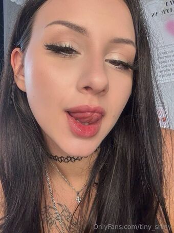 tiny_shiny