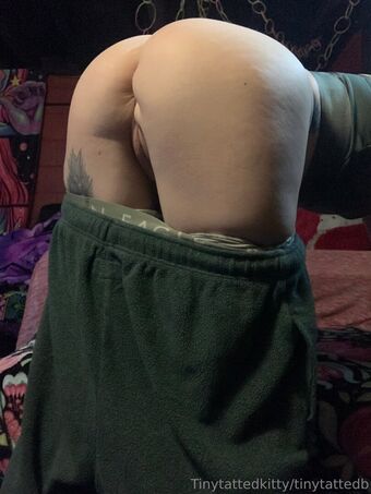 tinytattedkitty Голые слитые фото OnlyFans 19