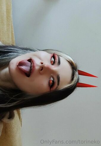 torineko Голые слитые фото OnlyFans 6