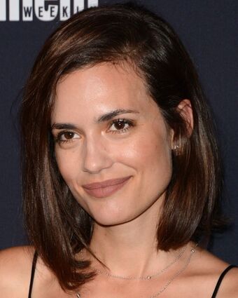Torrey DeVitto Голые слитые фото OnlyFans 23