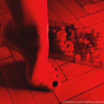 vallery_sakura