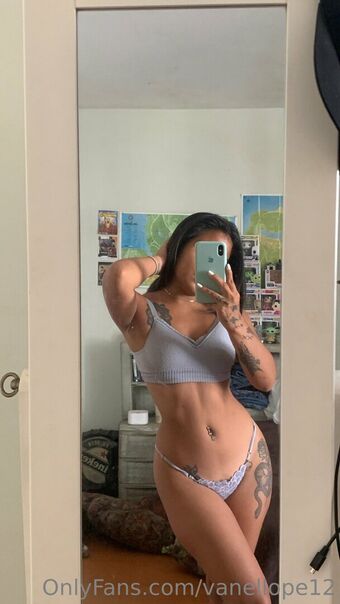 vanellope12 Голые слитые фото OnlyFans 12