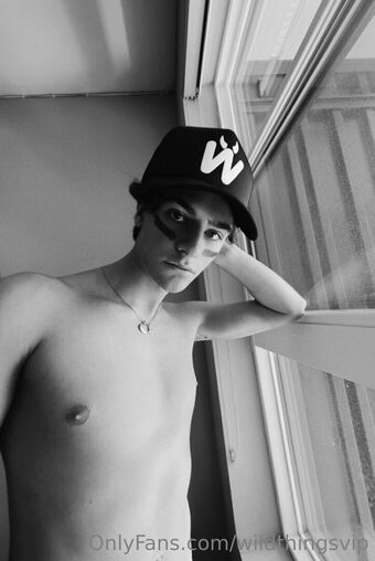 wildthingsvip