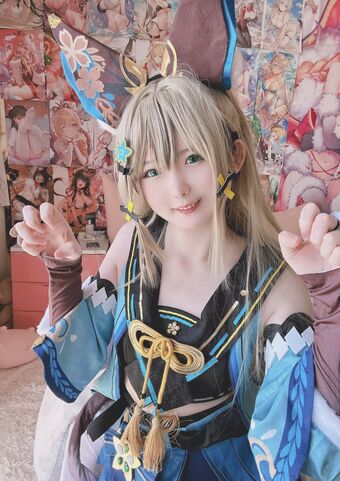 Xidaidai